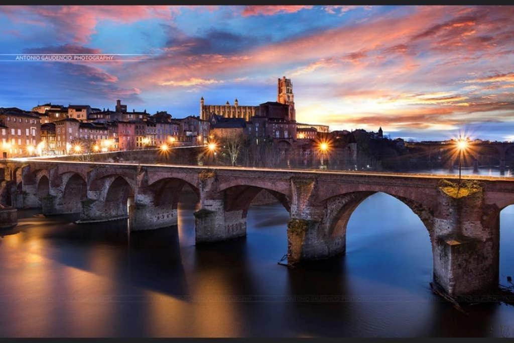 Charmant Appartement Vue Sur La Riviere. Albi Exterior foto